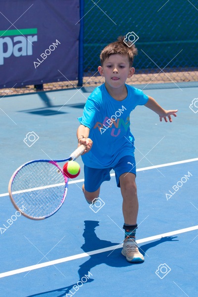 STEF1261.jpg