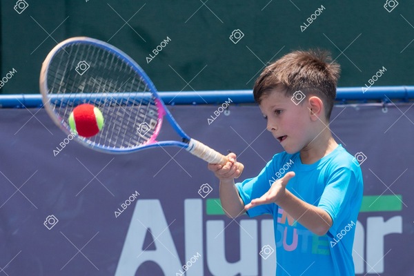 STEF1293.jpg