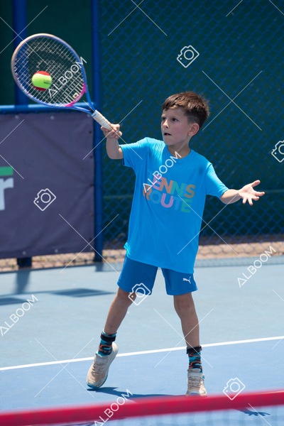 STEF1294.jpg