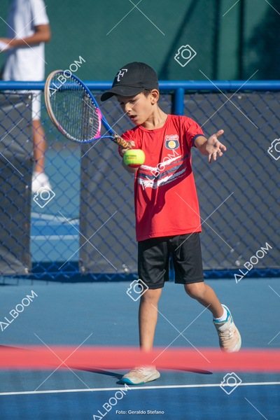 STEF5653.jpg