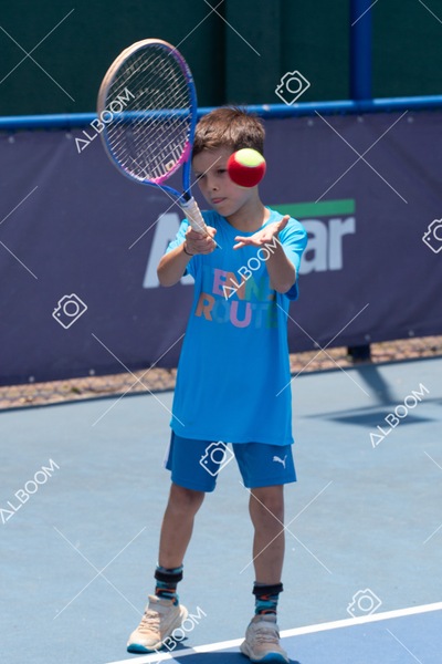 STEF1260.jpg