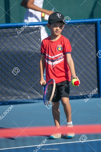 STEF5650.jpg