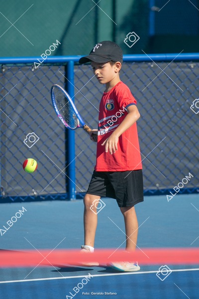 STEF5651.jpg