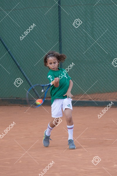 STEF0872 2.jpg