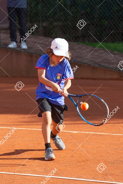 STEF0241.jpg