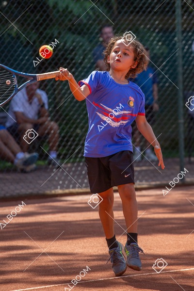 STEF0453.jpg