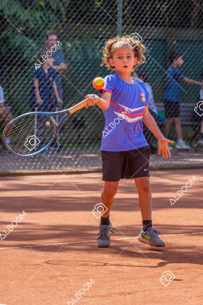 STEF0459 2.jpg