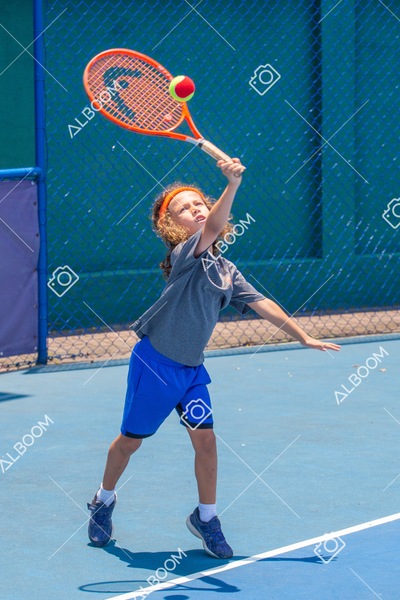 STEF1224.jpg