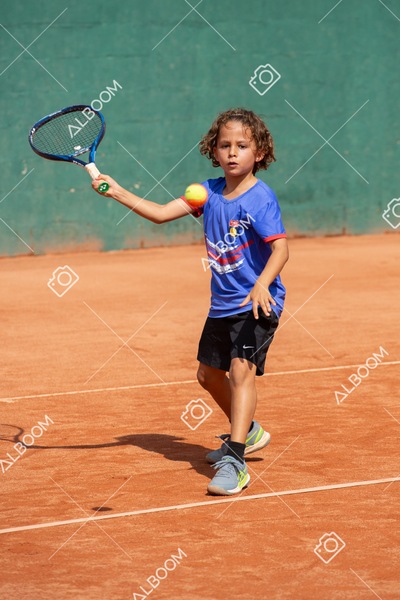 STEF0435.jpg