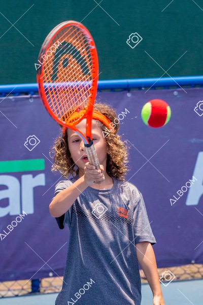 STEF1240.jpg