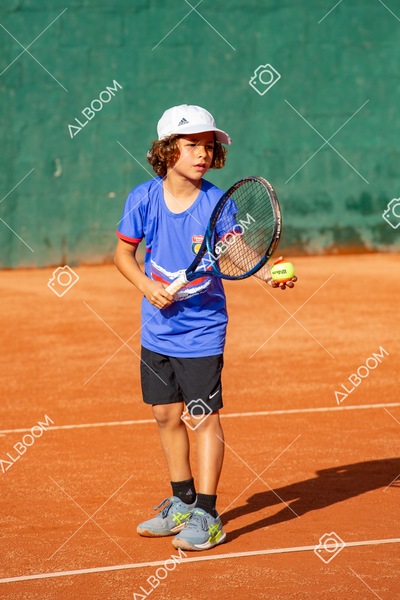 STEF0207.jpg