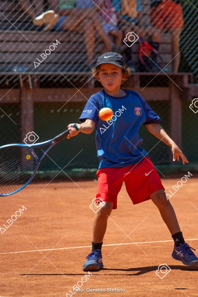 STEF1147.jpg