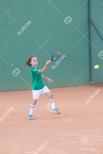 STEF0868 2.jpg