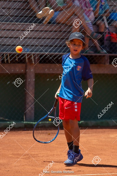 STEF1146.jpg