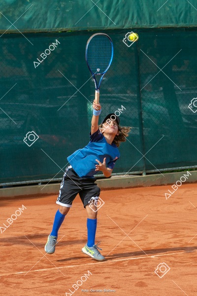 STEF0644.jpg