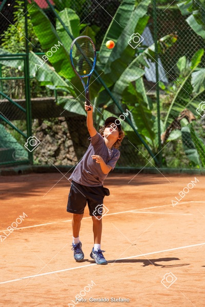 STEF0412.jpg