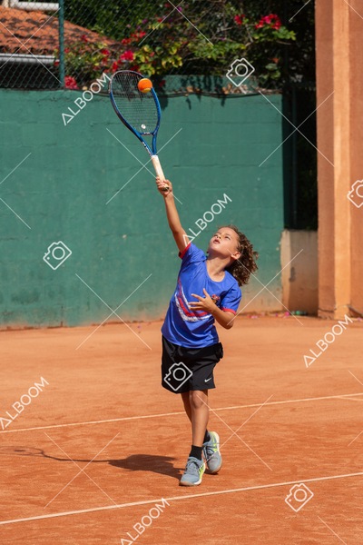 STEF0433.jpg
