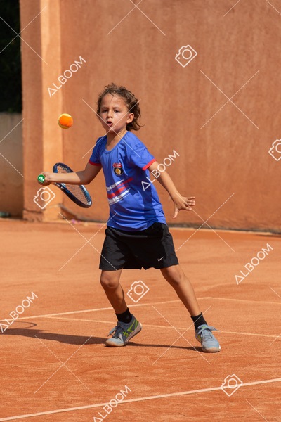 STEF0434.jpg