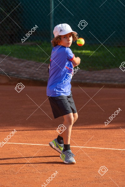 STEF0243.jpg