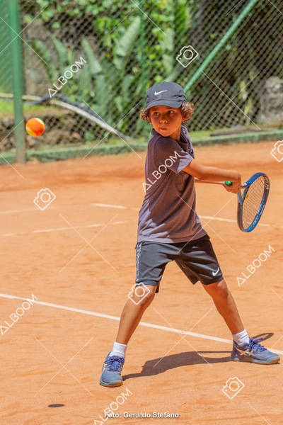 STEF0451.jpg