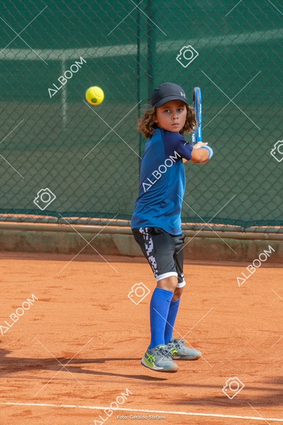 STEF0627.jpg