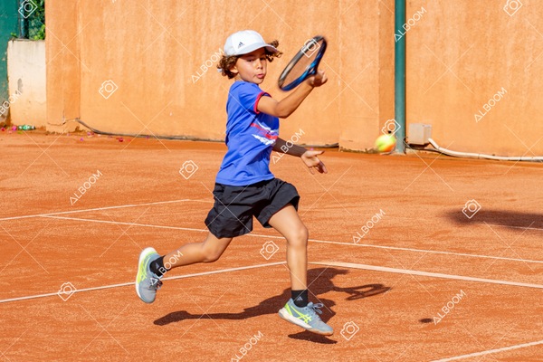 STEF0211.jpg