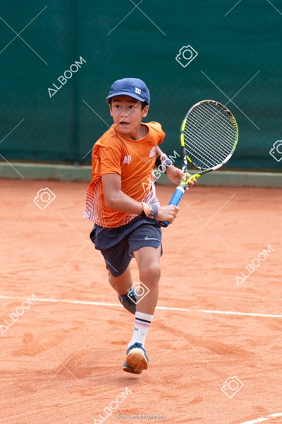 STEF0411.jpg