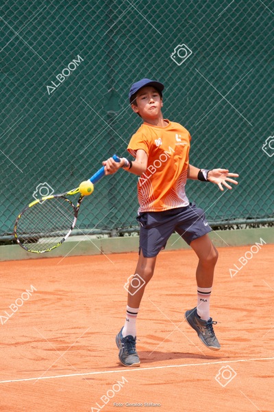 STEF0387 2.jpg