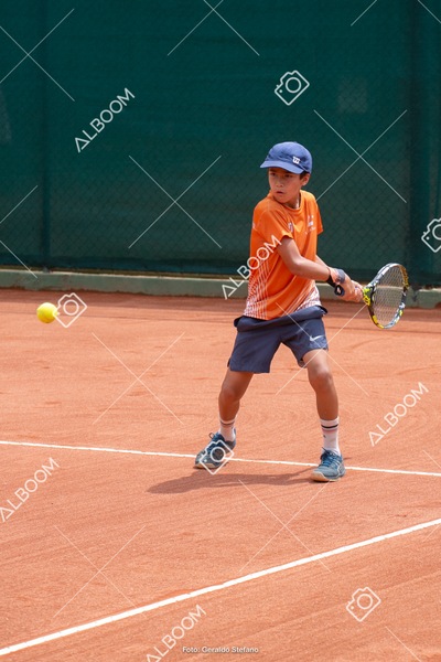STEF0378.jpg