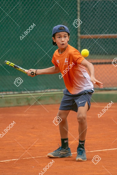 STEF0247.jpg