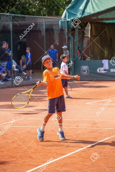 STEF0488 2.jpg