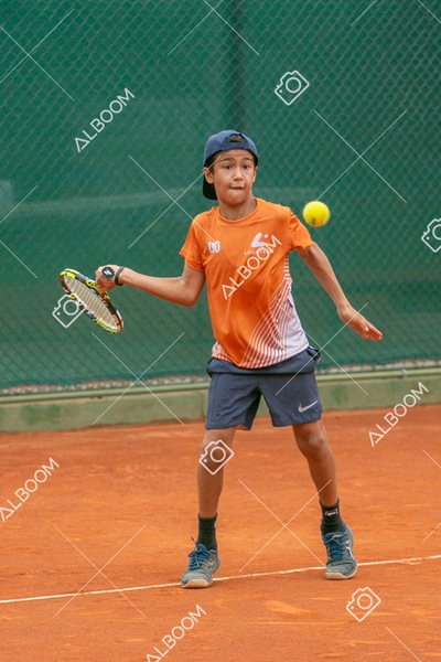 STEF0268.jpg