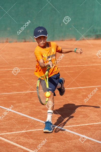 STEF0277.jpg