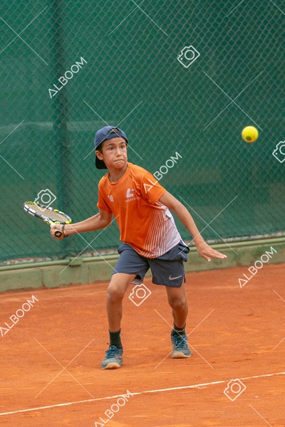 STEF0243.jpg
