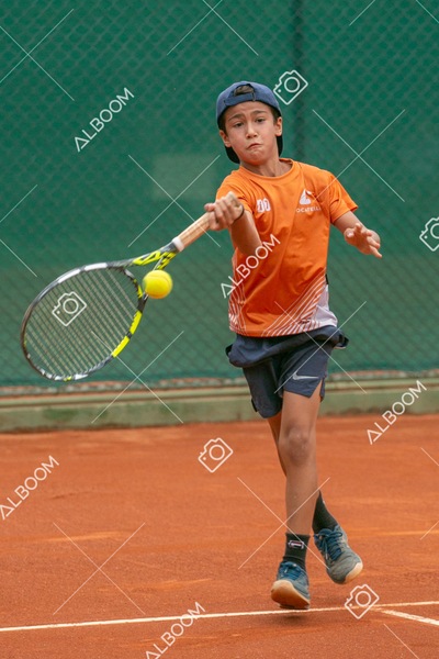 STEF0236.jpg