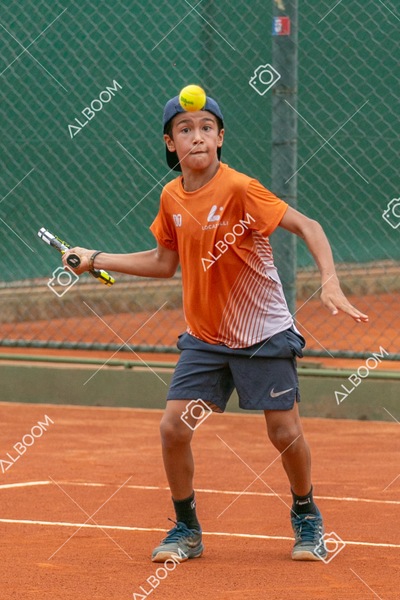 STEF0241.jpg