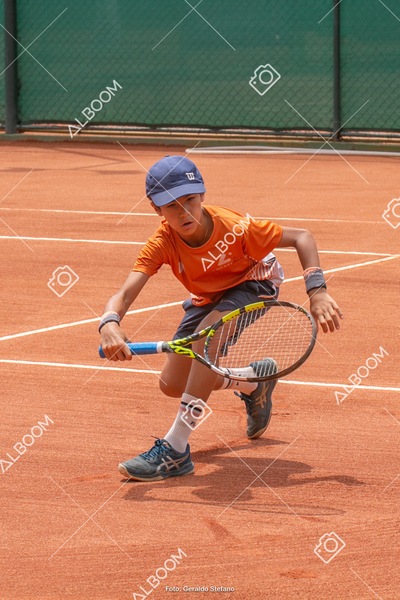 STEF0374.jpg