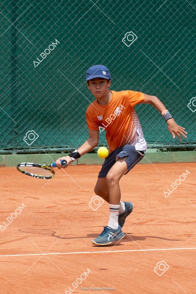 STEF0391.jpg