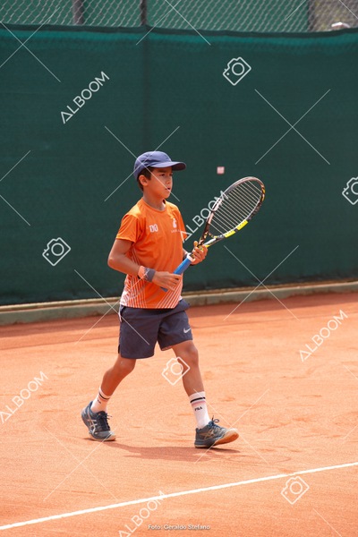 STEF0370.jpg