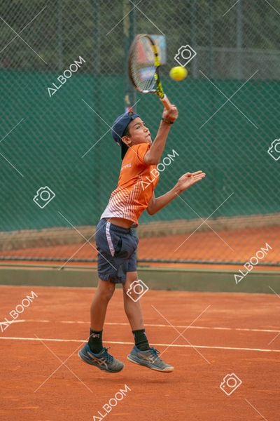 STEF0267.jpg