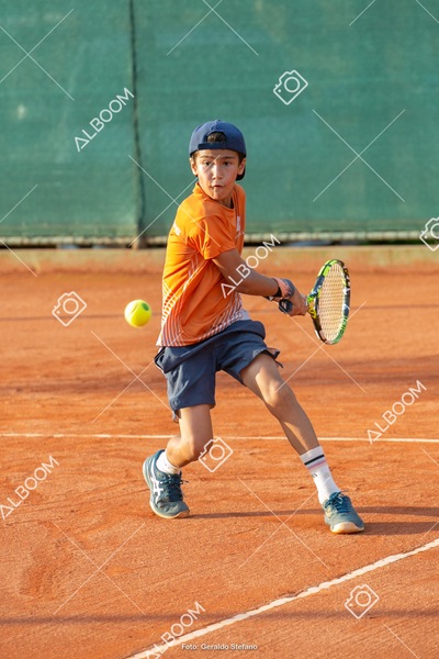 STEF0868.jpg