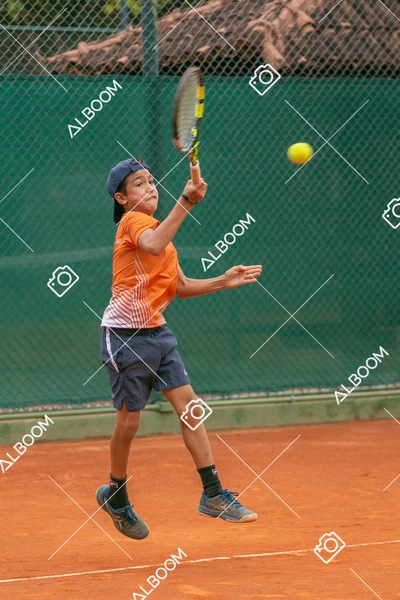 STEF0269.jpg