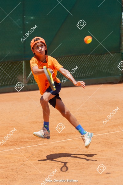 STEF0491.jpg