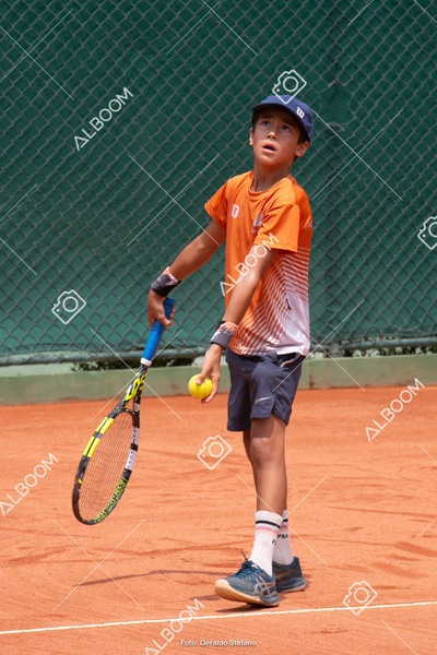 STEF0385.jpg