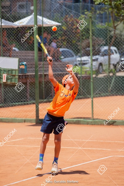 STEF0490.jpg