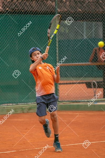 STEF0249.jpg