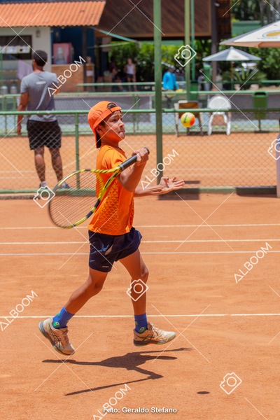 STEF0486.jpg