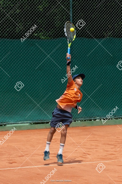 STEF0386.jpg