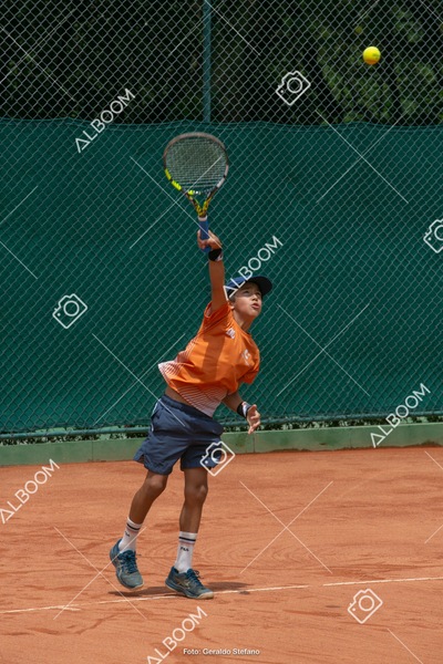 STEF0389 2.jpg