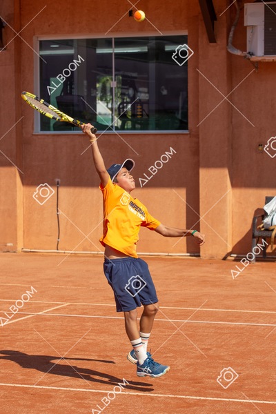 STEF0326.jpg